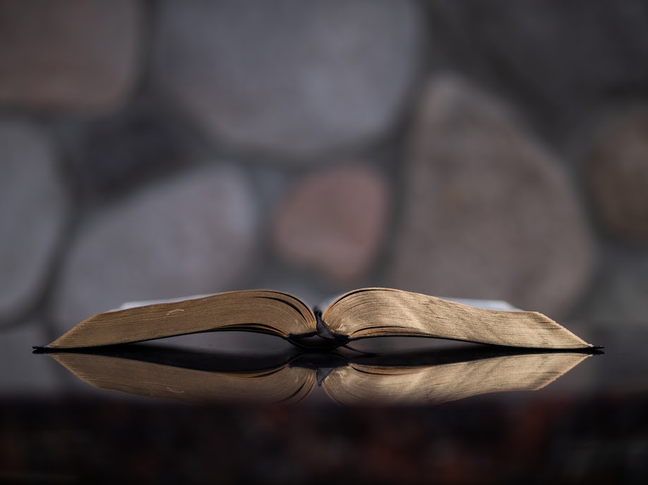 aaron-burden-1054032-unsplash aaron-burden-1054032-unsplash