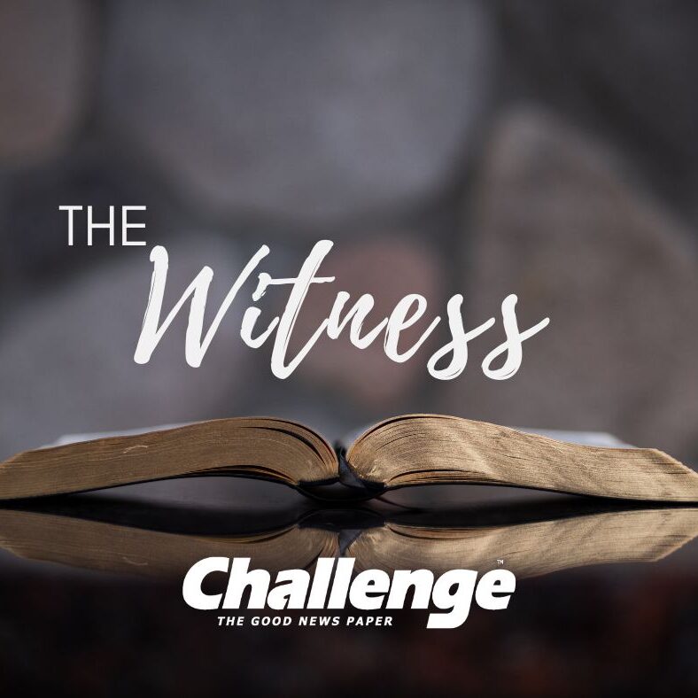 The Witness